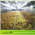 Equipamento avícola automático série Leon com CE